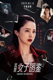 北京女子图鉴之整容大师 封面
