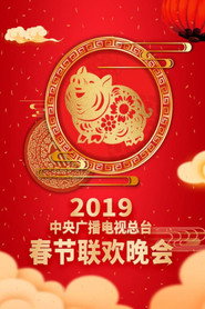 2019年中央广播电视总台春节联欢晚会 封面