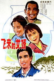 飞来的女婿 封面