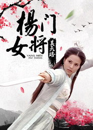 杨门女将之昊天塔 封面
