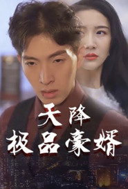 天降极品豪婿 封面
