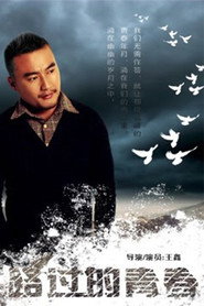 路过的青春 封面