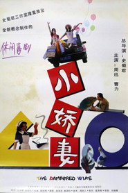 小娇妻 封面