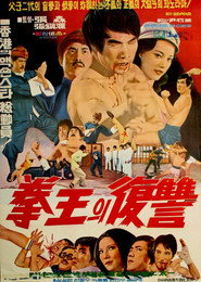 盲拳 封面