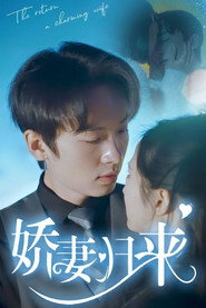 娇妻归来 封面