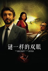 谜一样的双眼 封面