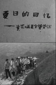 夏日的回忆 封面