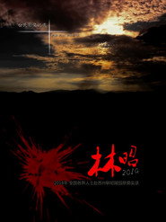 林昭 2014 封面