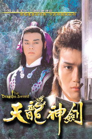 天龙神剑 封面