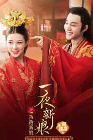 一夜新娘之落跑新娘 封面