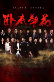 卧底警花 封面