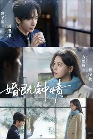 婚既钟情 封面