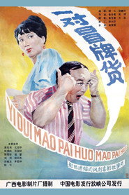 一对冒牌货 封面