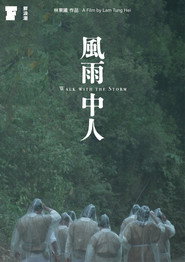 風雨中人 封面