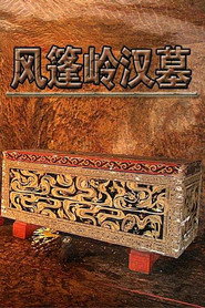 风篷岭汉墓 封面