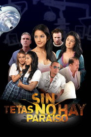 Sin tetas no hay paraíso 封面