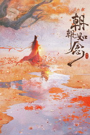朝朝如念 封面