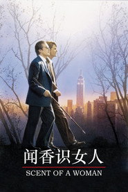 闻香识女人 封面