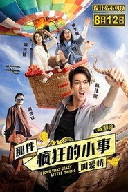 那件疯狂的小事叫爱情 封面