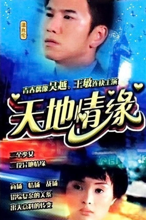 天地情缘 封面
