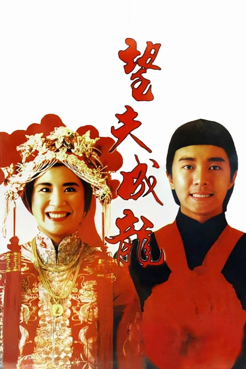 望夫成龙 封面
