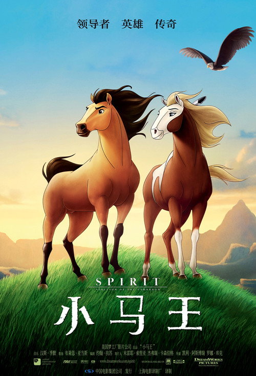 小马王 封面