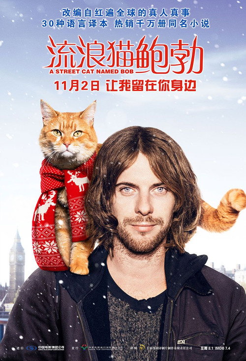 流浪猫鲍勃 封面