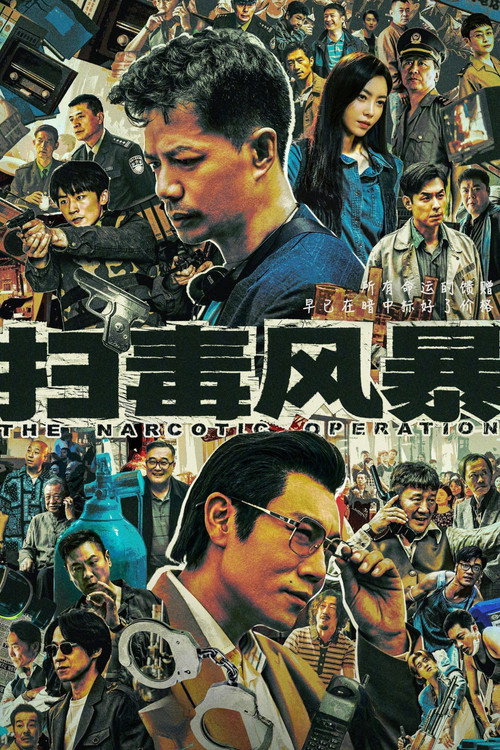 扫毒风暴 封面