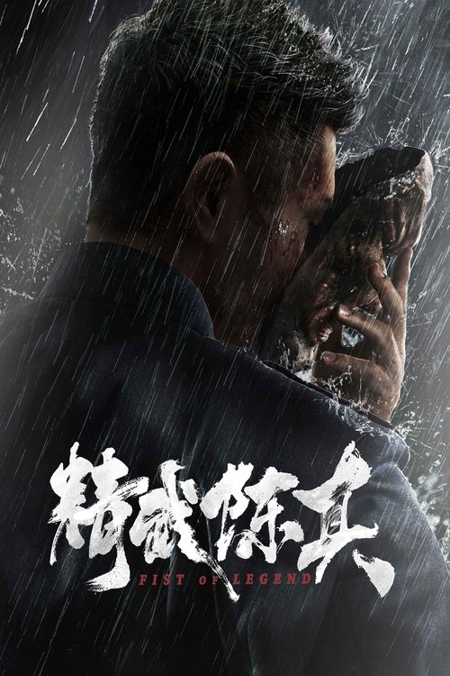 精武陈真 封面