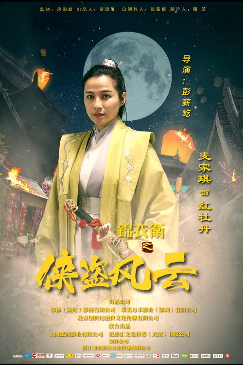 锦衣卫之侠盗风云 封面