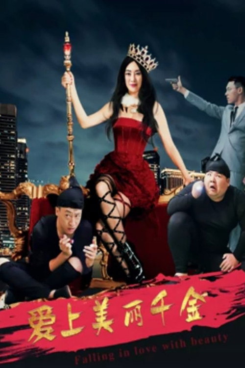 爱上美丽千金 封面