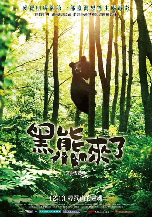 黑熊來了 封面