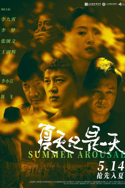 夏天只是一天 封面
