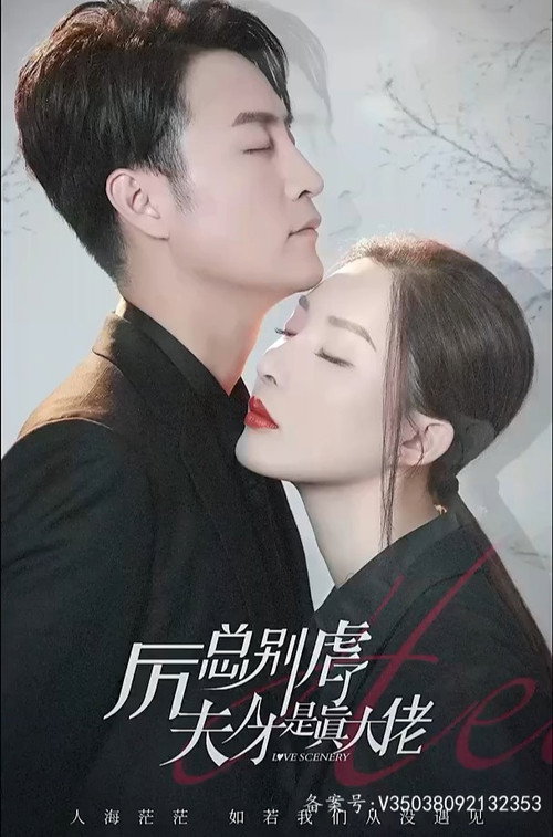 历总别虐了夫人才是真大佬 封面