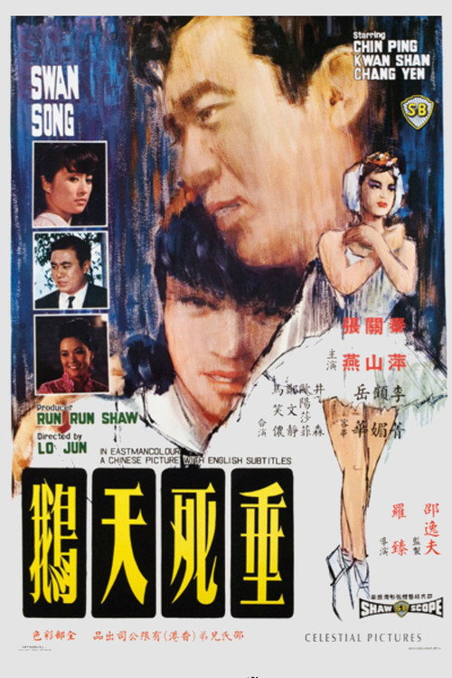 垂死天鹅 封面
