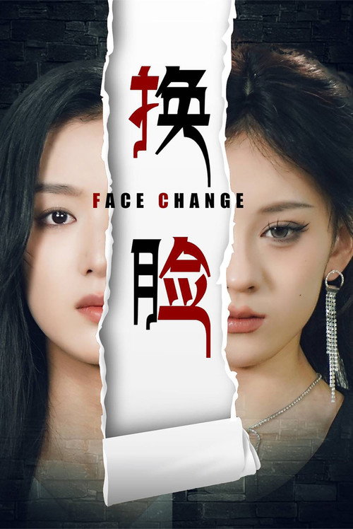 换脸 封面