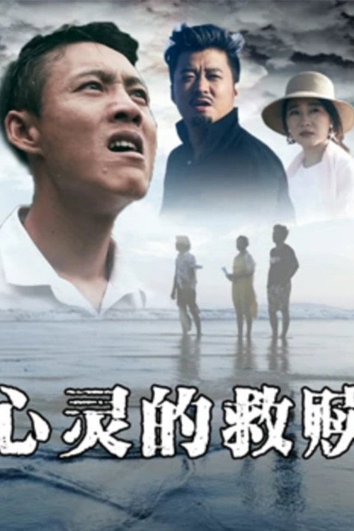心灵的救赎 封面