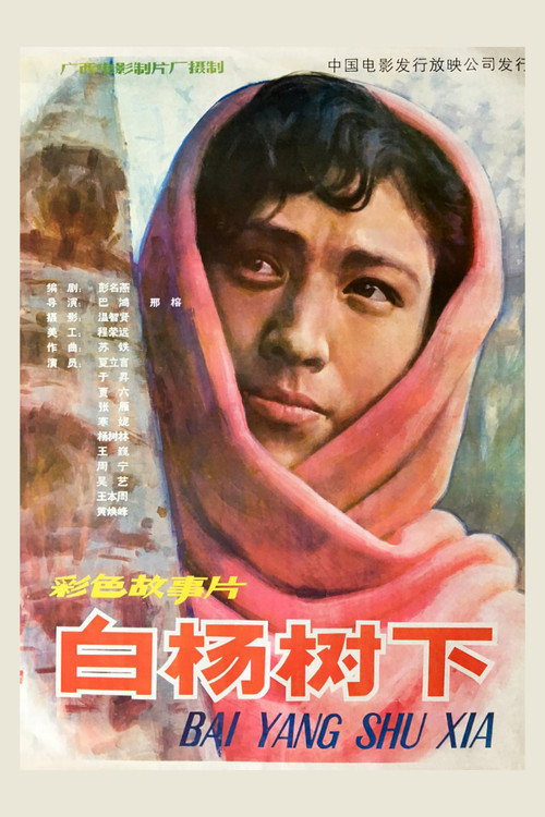 白杨树下 封面