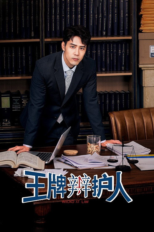 王牌辩护人 封面