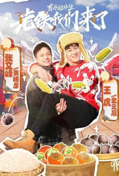 东北插班生-老铁我们来了 封面