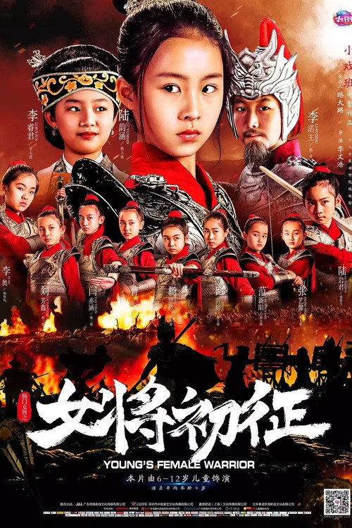 杨门女将之女将初征 封面