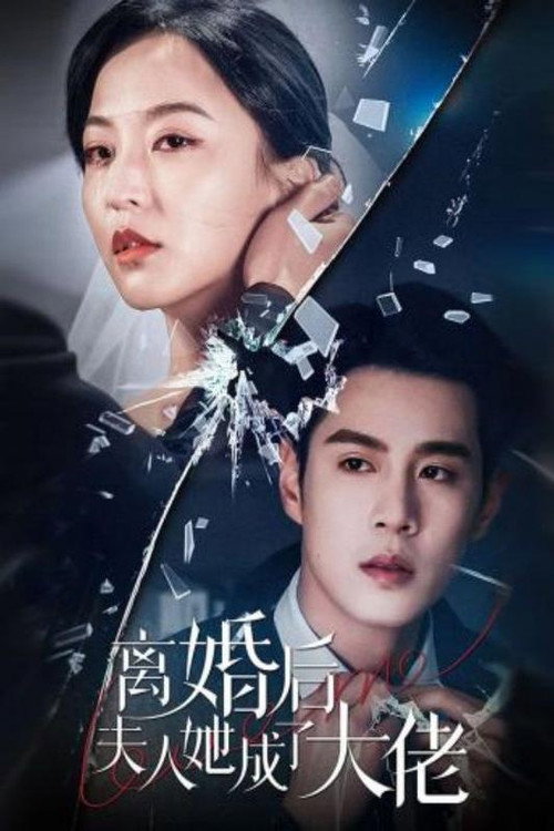离婚后夫人她成了大佬 封面