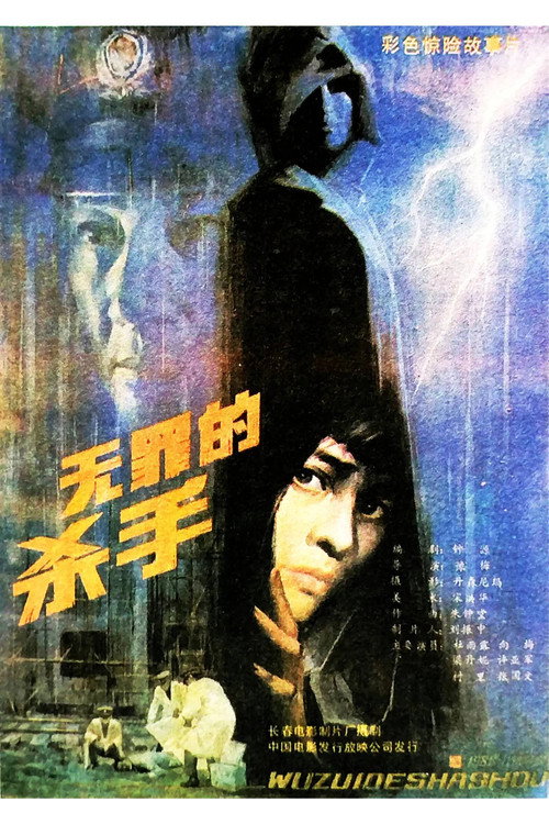 无罪的杀手 封面