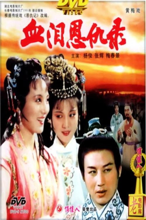 血泪恩仇录 封面