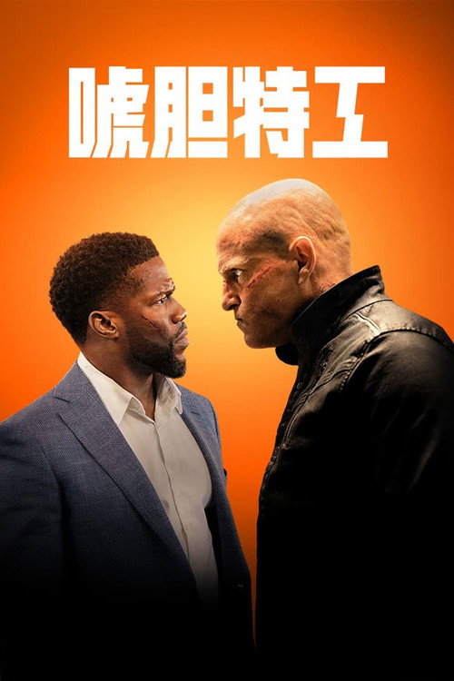 唬胆特工 封面