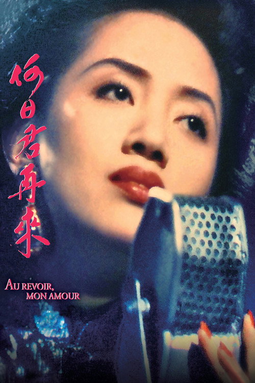 何日君再来 封面