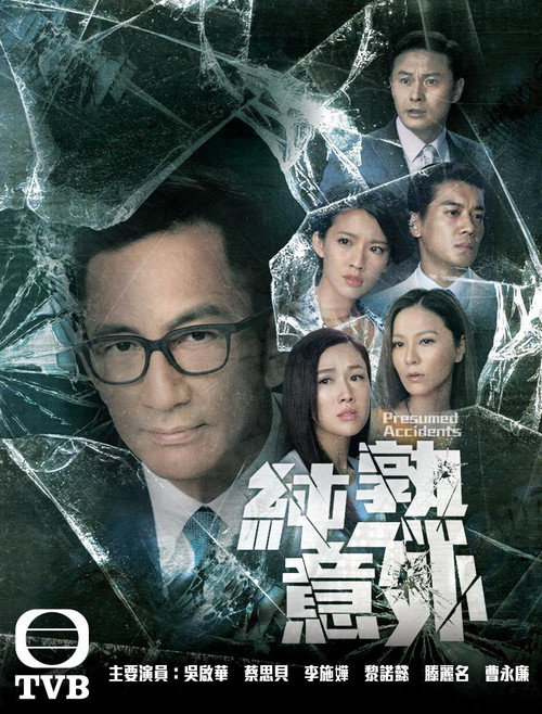 纯熟意外 封面