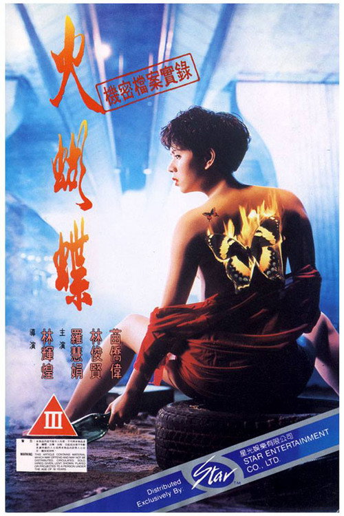 机密档案实录火蝴蝶 封面