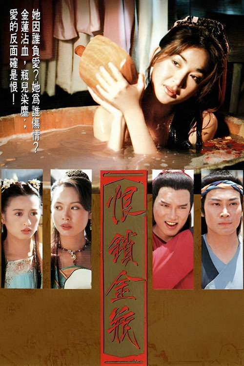 恨锁金瓶 封面