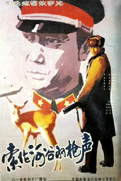 索伦河谷的枪声 封面